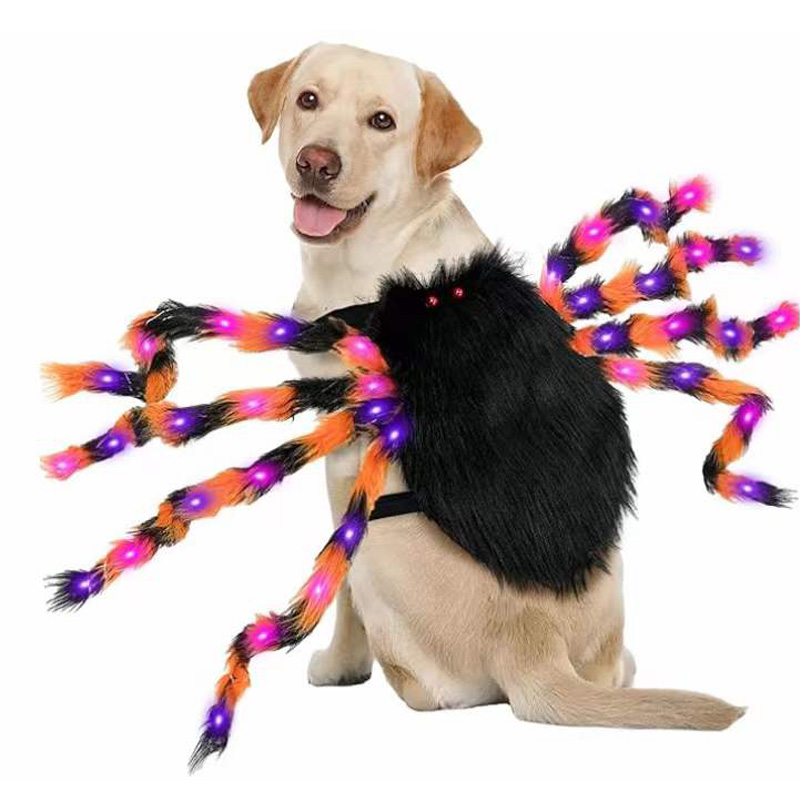 Pet Spider kostumer