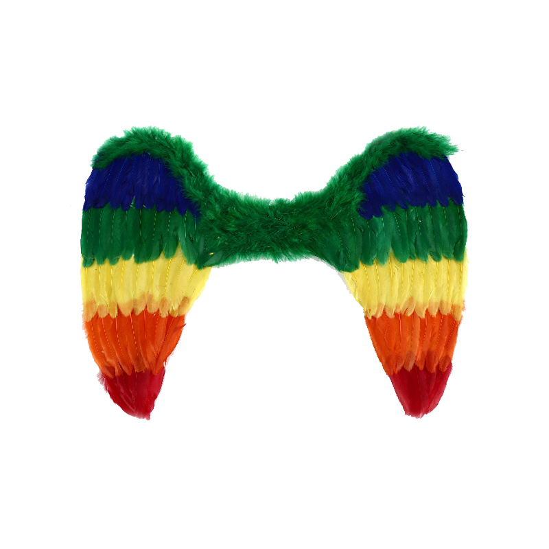 Rainbow Feather Angel Wings kostume